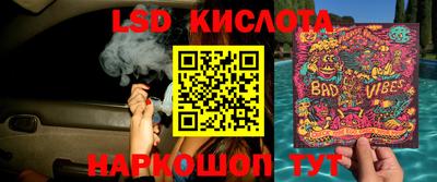 прущие крисы Абинск