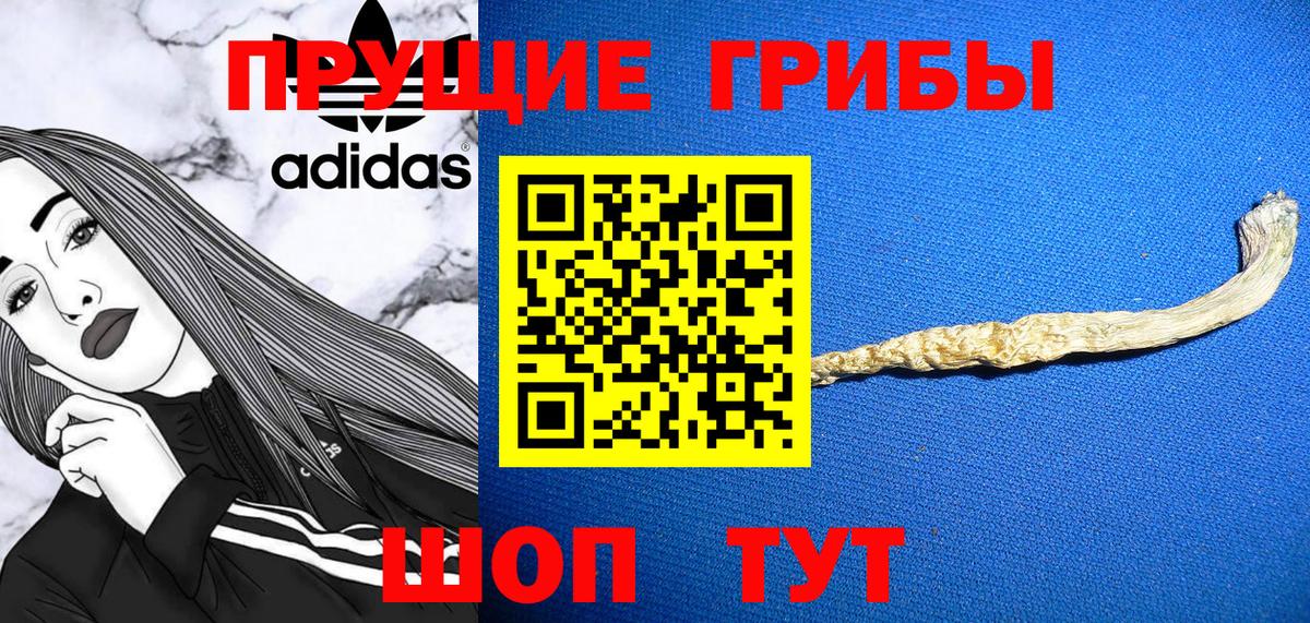 Где купить  ЭКСТАЗИ  МЕТ  Конопля  Меф МЯУ МЯУ   Гашиш  Алейск  КОКАИН  Вход с VPN 