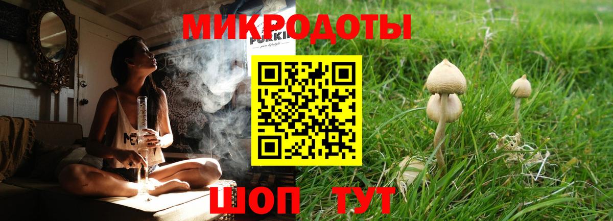 Псилоцибиновые грибы Psilocybe  Псилоцибиновые грибы Cubensis  Вход с VPN  Алейск 